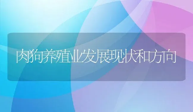 肉狗养殖业发展现状和方向 | 动物养殖百科