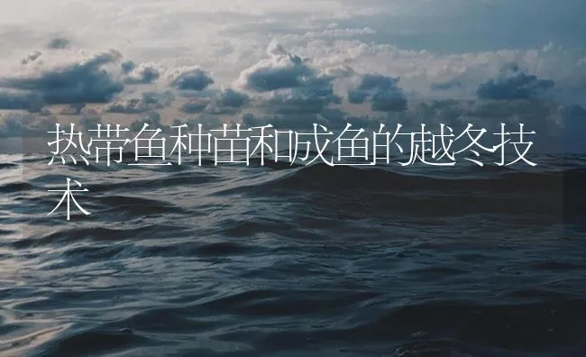 热带鱼种苗和成鱼的越冬技术 | 海水养殖技术