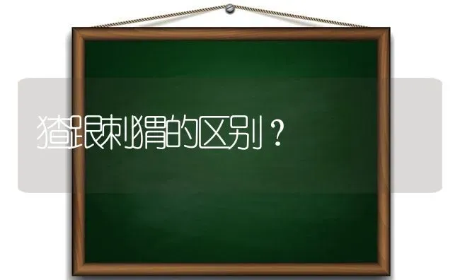 猫冠状缩写？ | 动物养殖问答