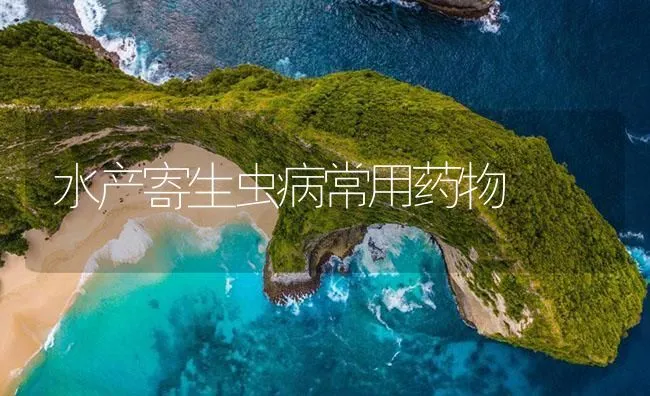 治愈鲫鱼孢子虫病实例 | 海水养殖技术