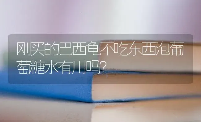 我第一年养貂，请问现在每天喂多少较合适，饲料配方有哪些？ | 动物养殖问答