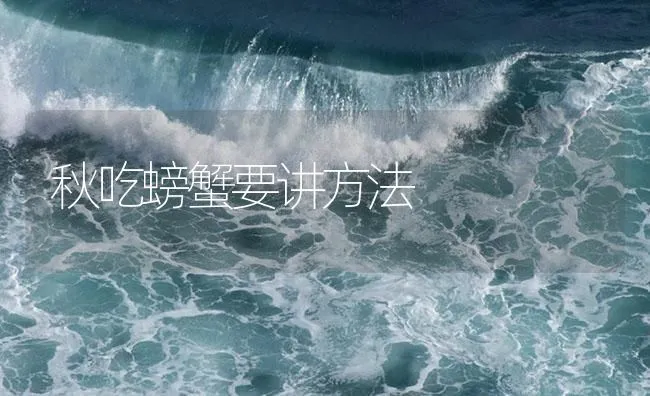 秋吃螃蟹要讲方法 | 海水养殖技术