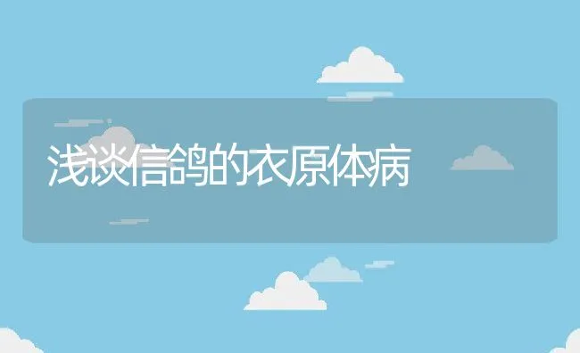 浅谈信鸽的衣原体病 | 水产养殖知识