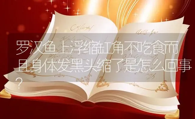 罗汉鱼上浮缩缸角不吃食而且身体发黑头缩了是怎么回事？ | 鱼类宠物饲养