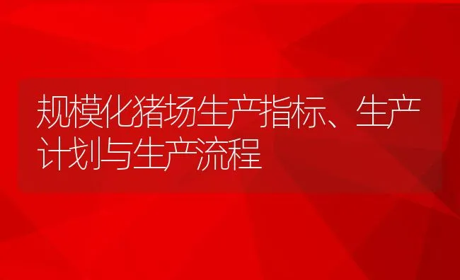 规模化猪场生产指标、生产计划与生产流程 | 动物养殖学堂