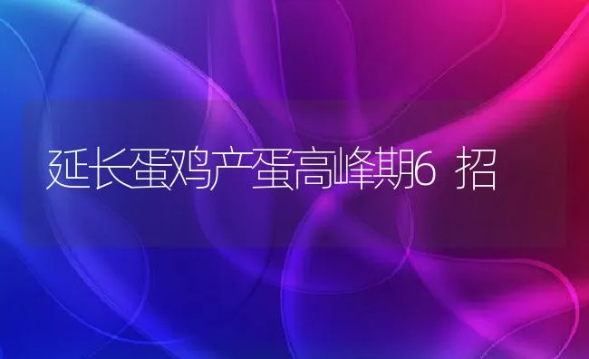 延长蛋鸡产蛋高峰期6招 | 动物养殖饲料