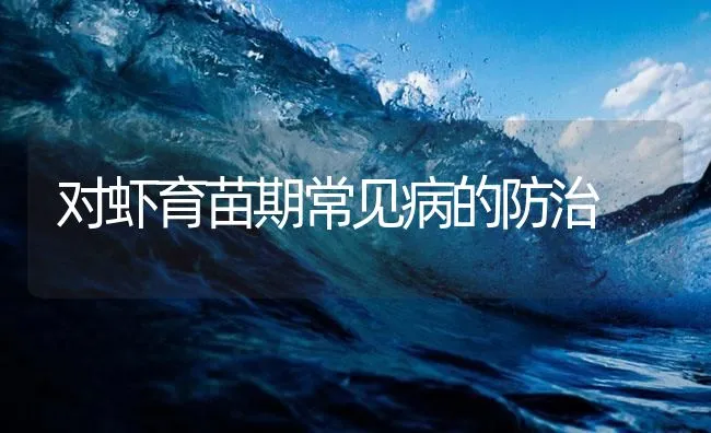 对虾育苗期常见病的防治 | 海水养殖技术