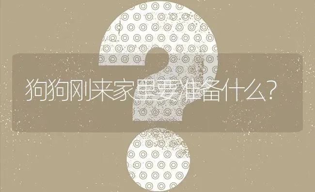 狗狗刚来家里要准备什么？ | 动物养殖问答