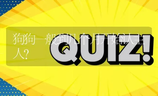 狗狗一般到几个月开始认主人？ | 动物养殖问答