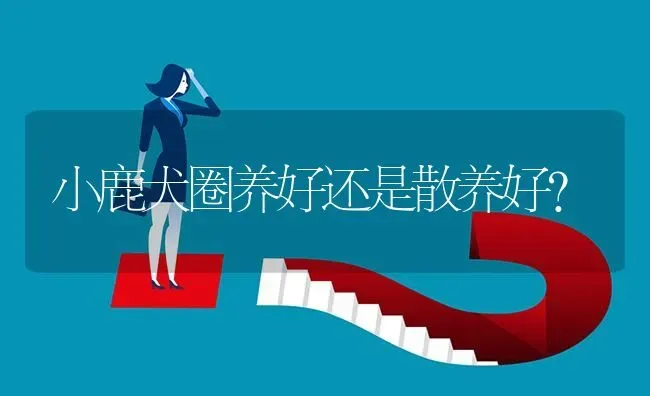 小鹿犬圈养好还是散养好？ | 动物养殖问答