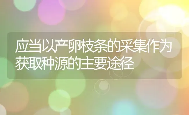 应当以产卵枝条的采集作为获取种源的主要途径 | 动物养殖教程