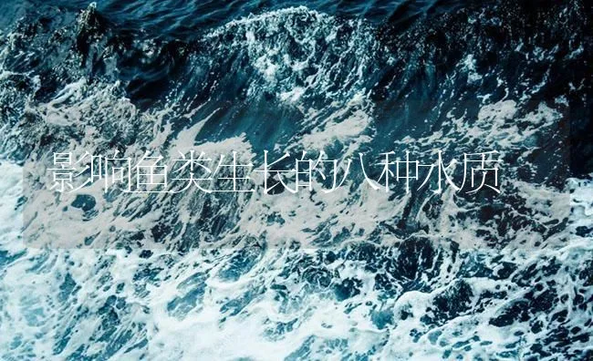 影响鱼类生长的八种水质 | 海水养殖技术