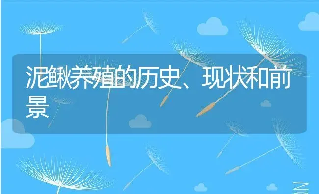 泥鳅养殖的历史、现状和前景 | 动物养殖百科