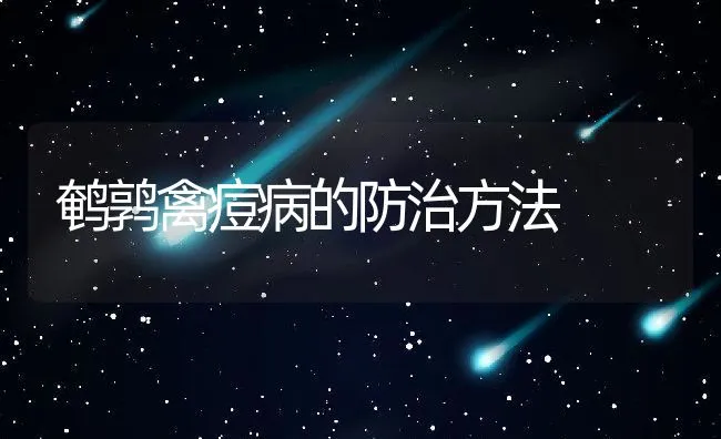 鹌鹑禽痘病的防治方法 | 水产养殖知识