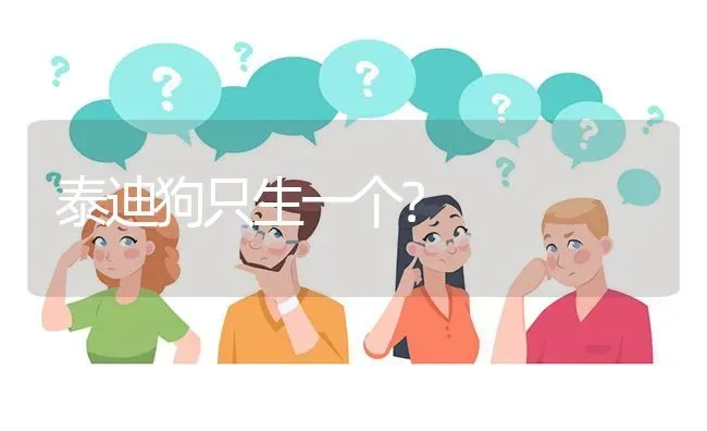 泰迪狗只生一个？ | 动物养殖问答