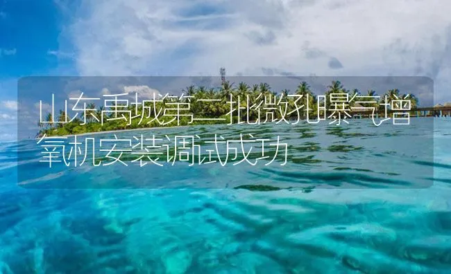 山东禹城第二批微孔曝气增氧机安装调试成功 | 海水养殖技术