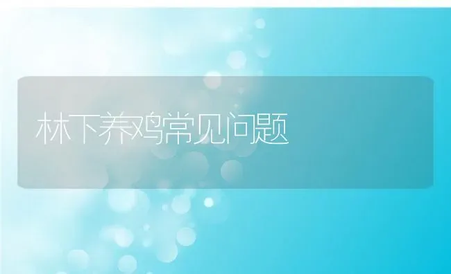 林下养鸡常见问题 | 动物养殖百科