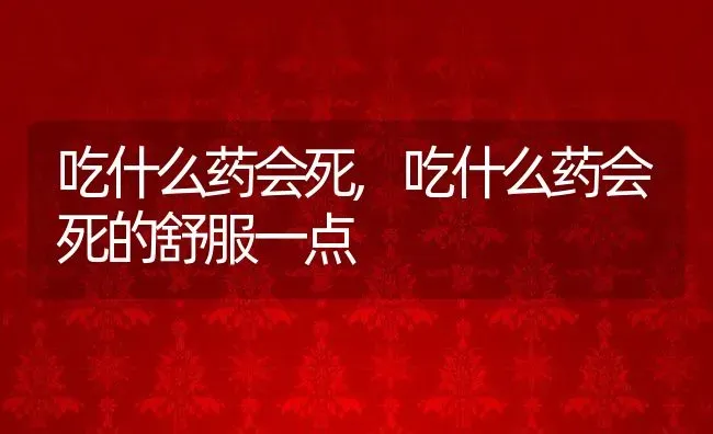 吃什么药会死,吃什么药会死的舒服一点 | 宠物百科知识