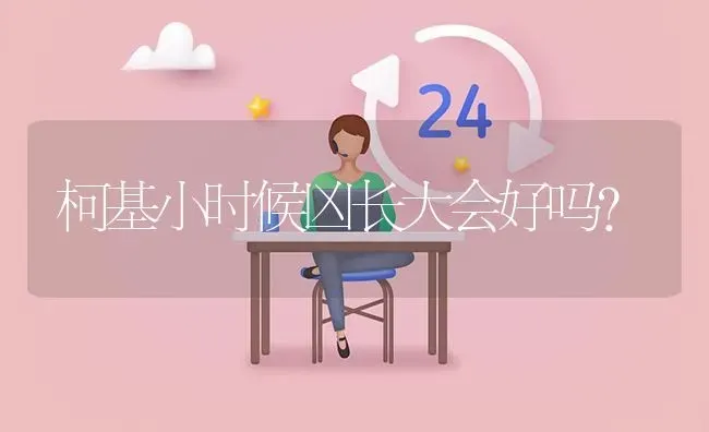 柯基小时候凶长大会好吗？ | 动物养殖问答