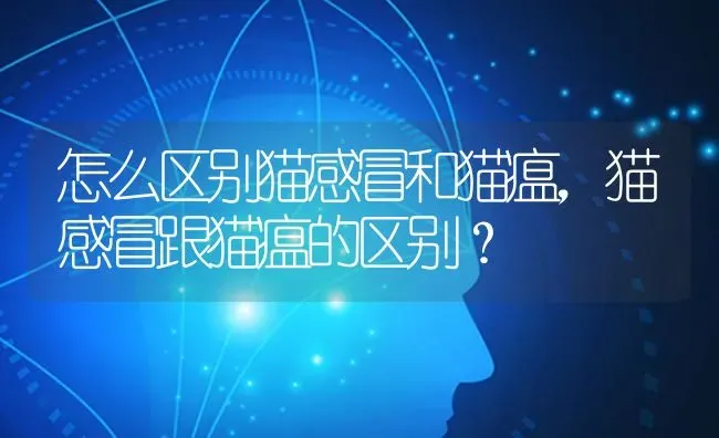 狗狗先吐黄色的液体现在又吐血吃什么药？ | 动物养殖问答