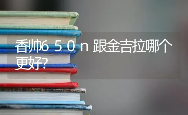 香帅650n跟金吉拉哪个更好？ | 动物养殖问答