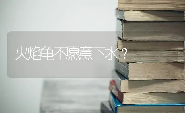 火焰龟不愿意下水？ | 动物养殖问答