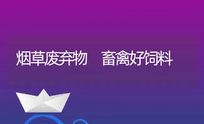 烟草废弃物 畜禽好饲料 | 动物养殖饲料