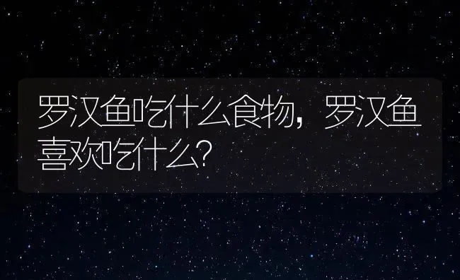 罗汉鱼吃什么食物，罗汉鱼喜欢吃什么？ | 鱼类宠物饲养