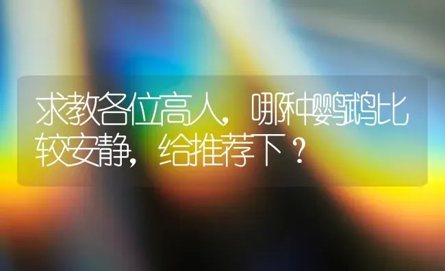 求教各位高人，哪种鹦鹉比较安静，给推荐下？ | 动物养殖问答