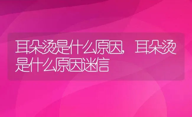 耳朵烫是什么原因,耳朵烫是什么原因迷信 | 宠物百科知识