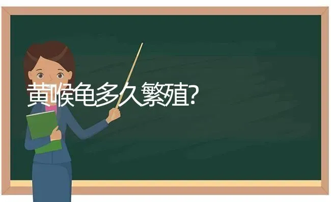 黄喉龟多久繁殖？ | 动物养殖问答