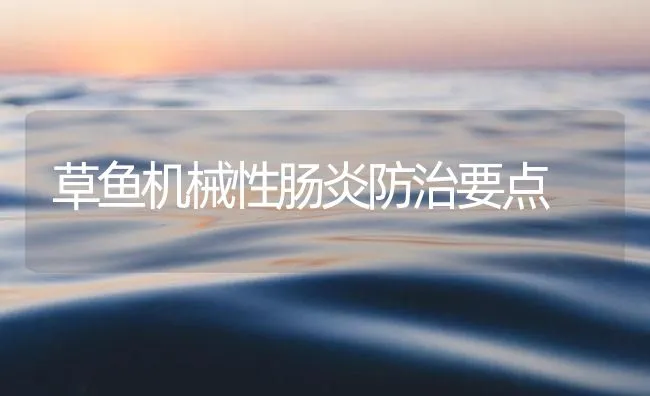 草鱼机械性肠炎防治要点 | 海水养殖技术