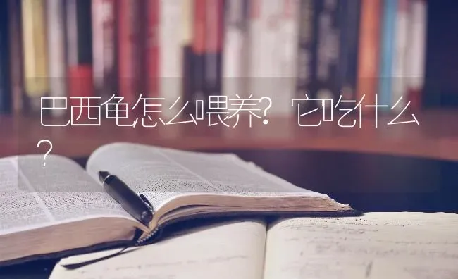 巴西龟怎么喂养?它吃什么？ | 动物养殖问答