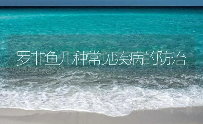 罗非鱼几种常见疾病的防治 | 海水养殖技术