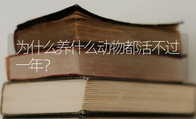 为什么养什么动物都活不过一年？ | 动物养殖问答