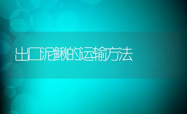 出口泥鳅的运输方法 | 水产养殖知识