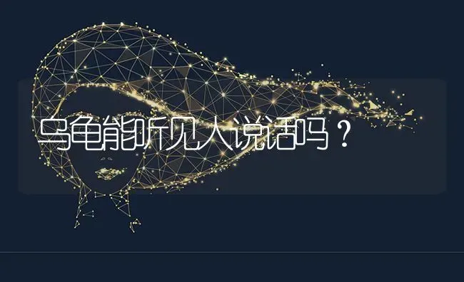 乌龟能听见人说话吗？ | 动物养殖问答