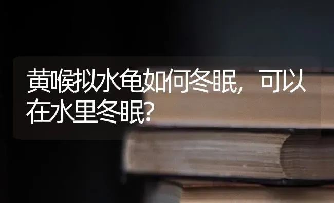 黄喉拟水龟如何冬眠，可以在水里冬眠？ | 动物养殖问答