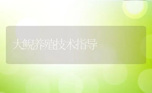 大鲵养殖技术指导 | 动物养殖百科