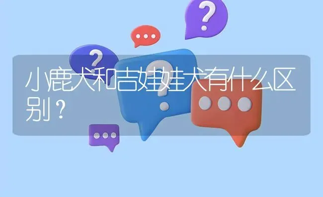 小鹿犬和吉娃娃犬有什么区别？ | 动物养殖问答