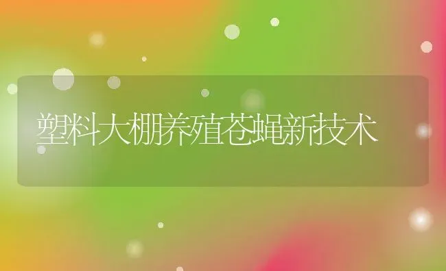 塑料大棚养殖苍蝇新技术 | 动物养殖教程