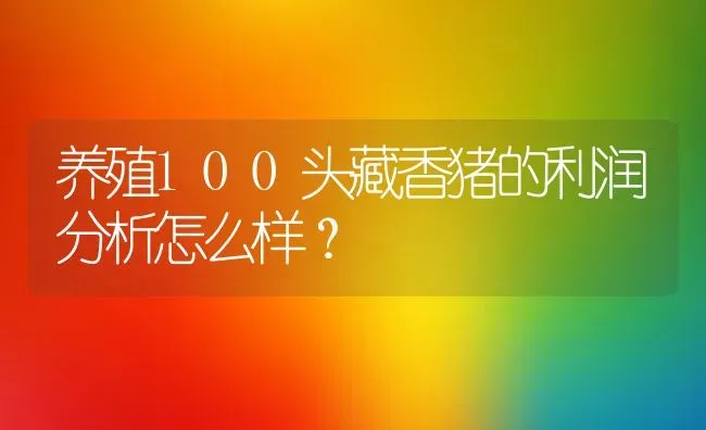 养殖100头藏香猪的利润分析怎么样？ | 动物养殖百科