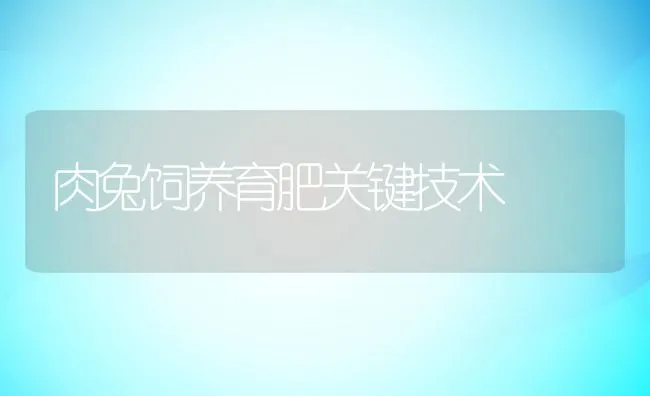 肉兔饲养育肥关键技术 | 水产养殖知识