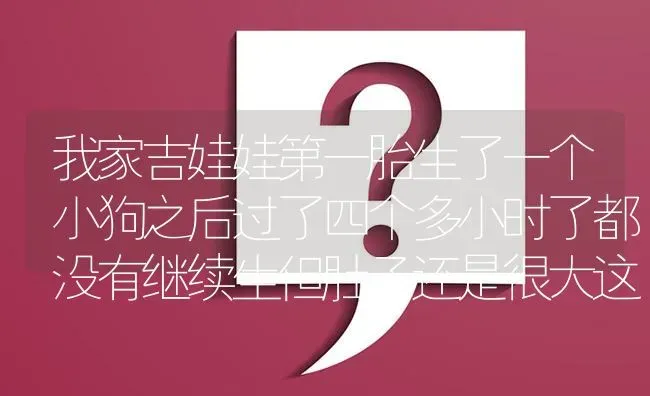 我家吉娃娃第一胎生了一个小狗之后过了四个多小时了都没有继续生但肚子还是很大这是怎么了？ | 动物养殖问答