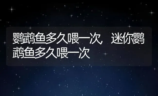 鹦鹉鱼多久喂一次,迷你鹦鹉鱼多久喂一次 | 宠物百科知识