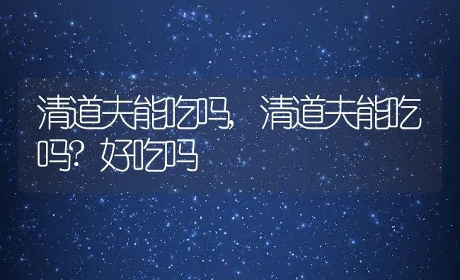 清道夫能吃吗,清道夫能吃吗?好吃吗 | 宠物百科知识