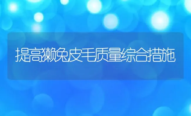 提高獭兔皮毛质量综合措施 | 动物养殖学堂