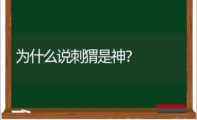 为什么说刺猬是神？ | 动物养殖问答