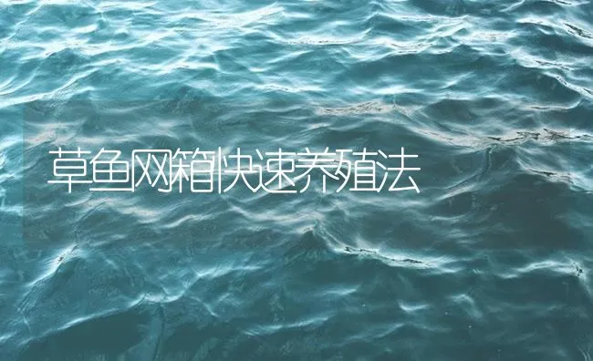 草鱼网箱快速养殖法 | 海水养殖技术