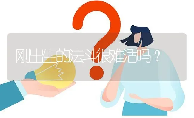 刚出生的法斗很难活吗？ | 动物养殖问答